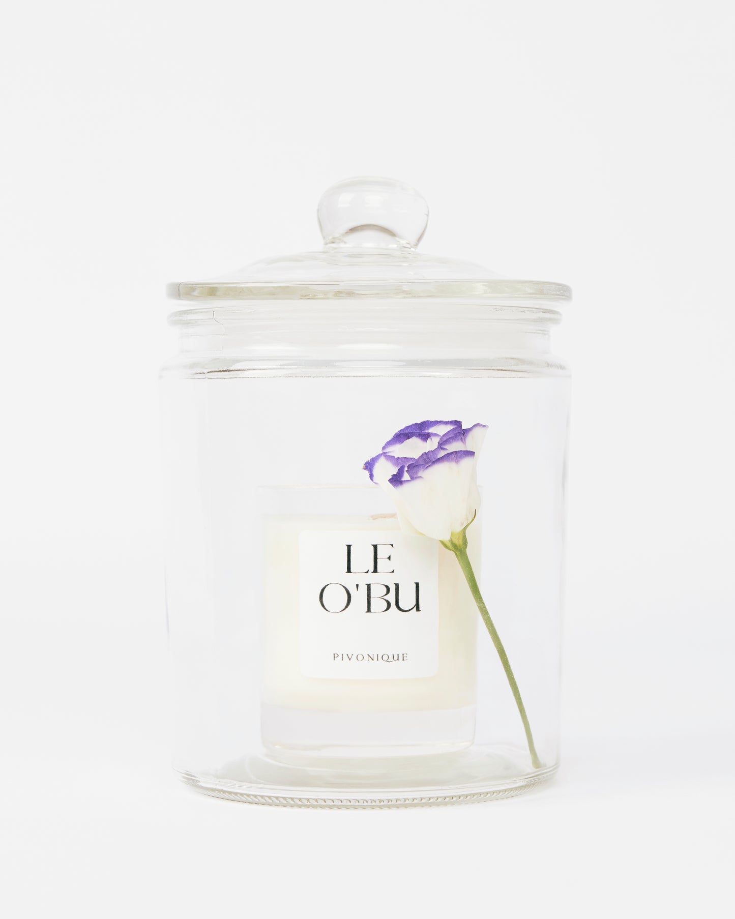 'Pivonique' (220 g candle)
